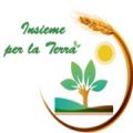 Avatar di InsiemeperlaTerra